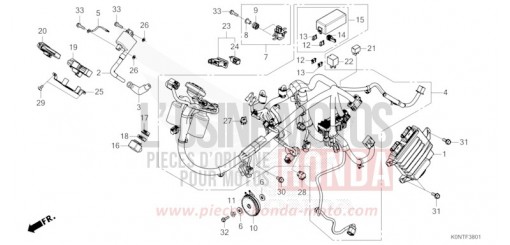 FAISCEAU DES FILS (CBF125MEF) CBF125MEFT de 2026